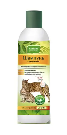 Купить pchelodar шампунь для короткошерстных кошек с прополисом