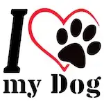 MY DOG