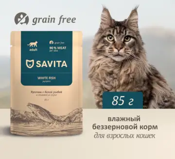 Купить savita влажный корм для взрослых кошек с белой рыбой и тыквой в соусе (пауч)