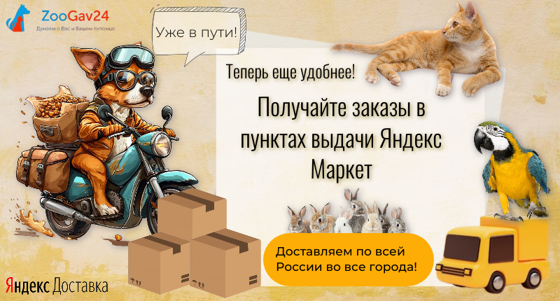 Теперь еще удобнееПолучайте заказы (1).png Мы запустили Яндекс Доставку