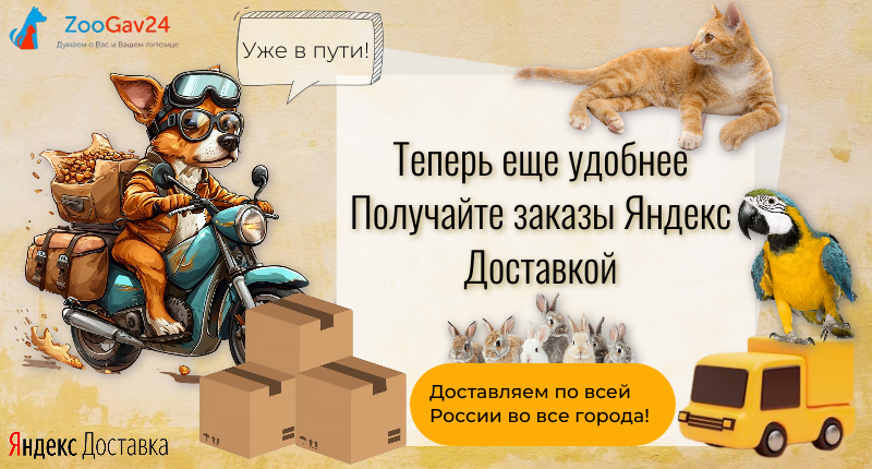 Мы запустили Яндекс Доставку