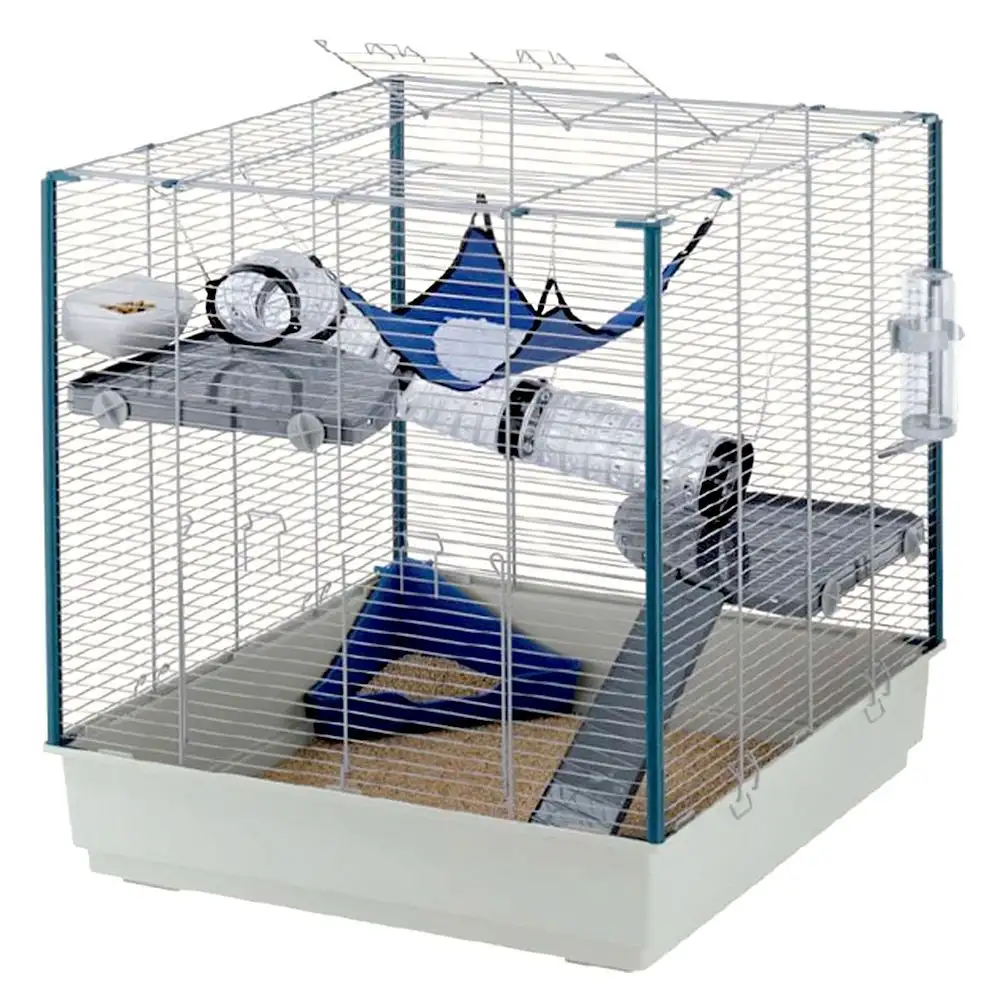 10.jpg 10.jpg