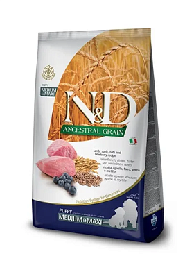 Farmina N&D Ancestral Grain Dog Lamb Blueberry Puppy Medium & Maxi сухой низкозерновой корм для щенков средних и крупных пород, беременных и кормящих собак с ягненком и черникой