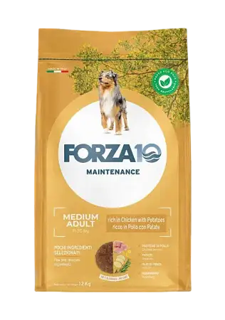 Купить forza10 maintenance dog adult medium сухой корм для взрослых собак средних пород с курицей и картофелем