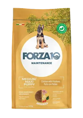 Купить forza10 maintenance medium/maxi puppy сухой корм для щенков средних и крупных пород и сук в период беременности и лактации, с курицей
