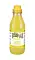 Iv San Bernard Fruit of the Grommer Ginger&Elderbery Шампунь для любого типа шерсти против раздражений и перхоти для собак и кошек