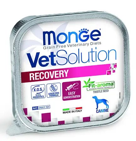 Купить monge vetsolution dog recovery диетический корм для взрослых собак всех пород при восстановлении питания в период выздоровления (ламистер)