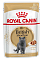 Royal Canin British Shorthair Adult влажный корм для взрослых британских короткошерстных кошек в соусе (пауч)