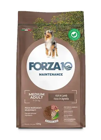 Купить forza10 maintenance dog adult medium сухой корм для взрослых собак средних пород с ягненком и рисом
