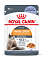 Royal Canin паучи rC Кусочки в желе для кошек 1-7 лет: идеальная кожа и шерсть
